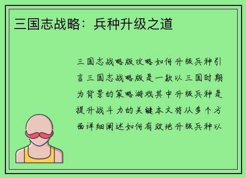 三国志战略：兵种升级之道